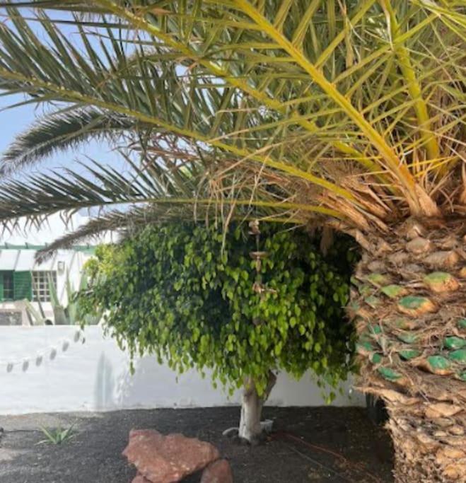 Studio In Playa Blanca 아파트 외부 사진
